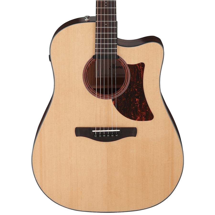 ibanez-aad170ce-lgs_6125fc67c8293.jpg