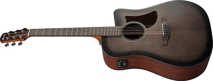 ibanez-aad50ce-tcb_63dbcb8d63c47.jpg