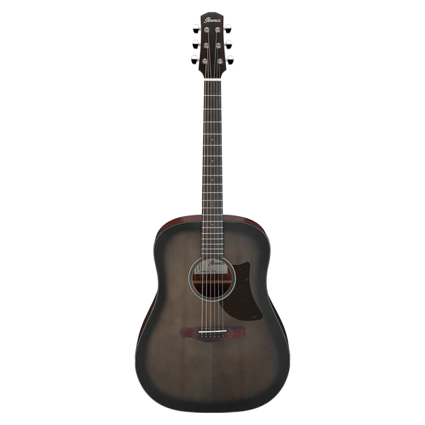 ibanez-aad50tcb_63cfe7af0661f.jpg