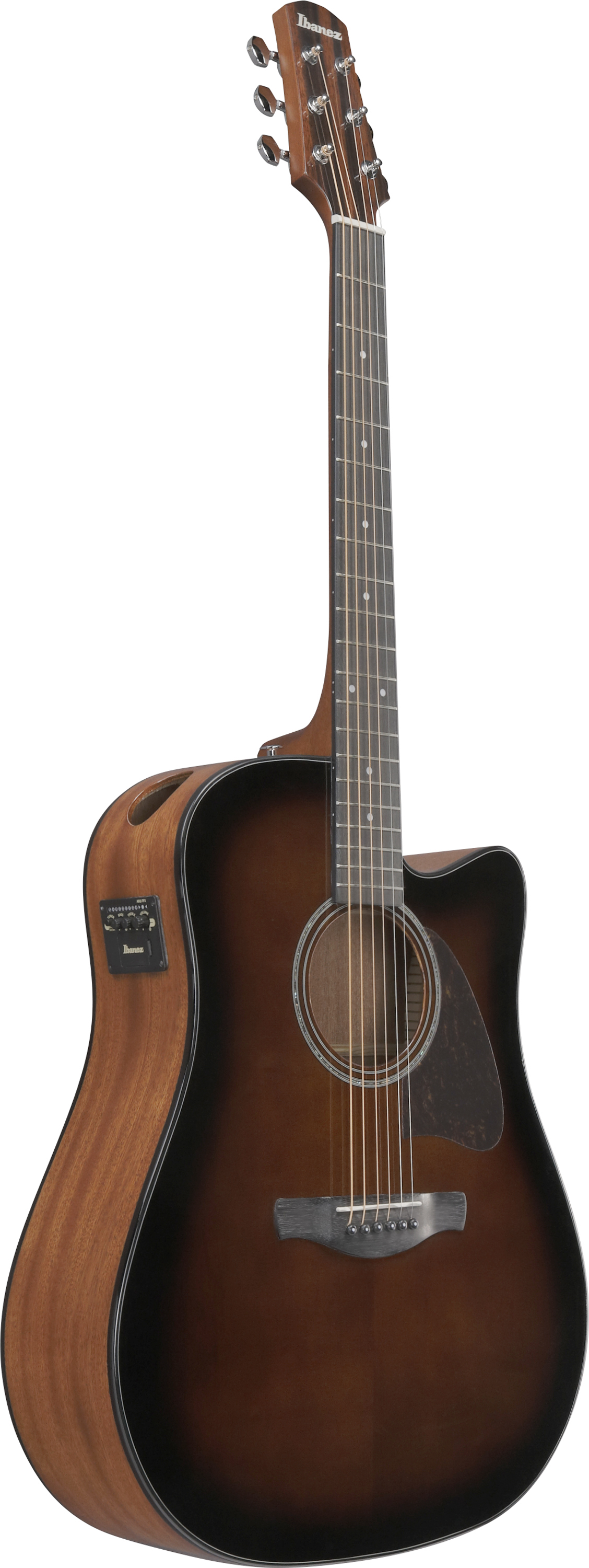 ibanez-aad51ce-dvs_696e470944150.jpg