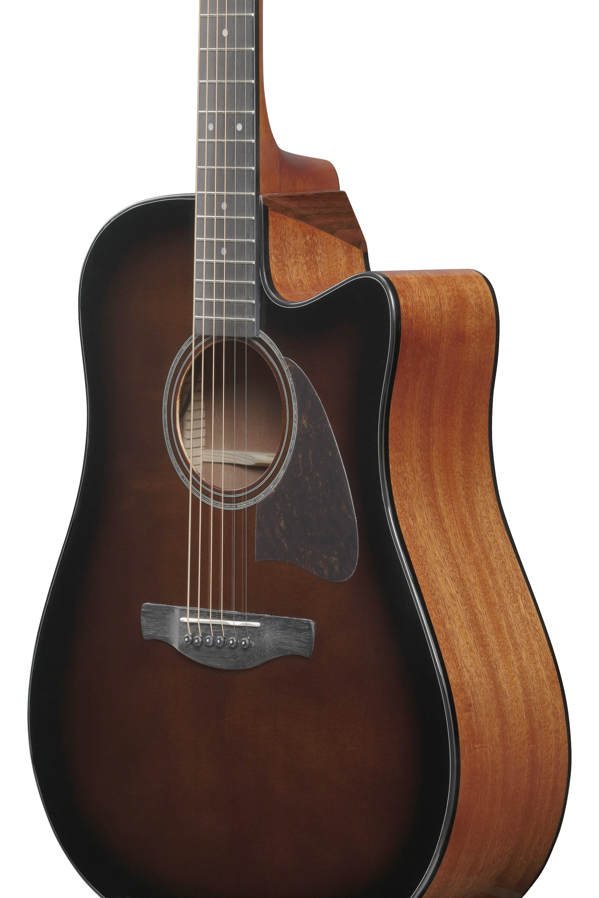 ibanez-aad51ce-dvs_696e4710d47ef.jpg