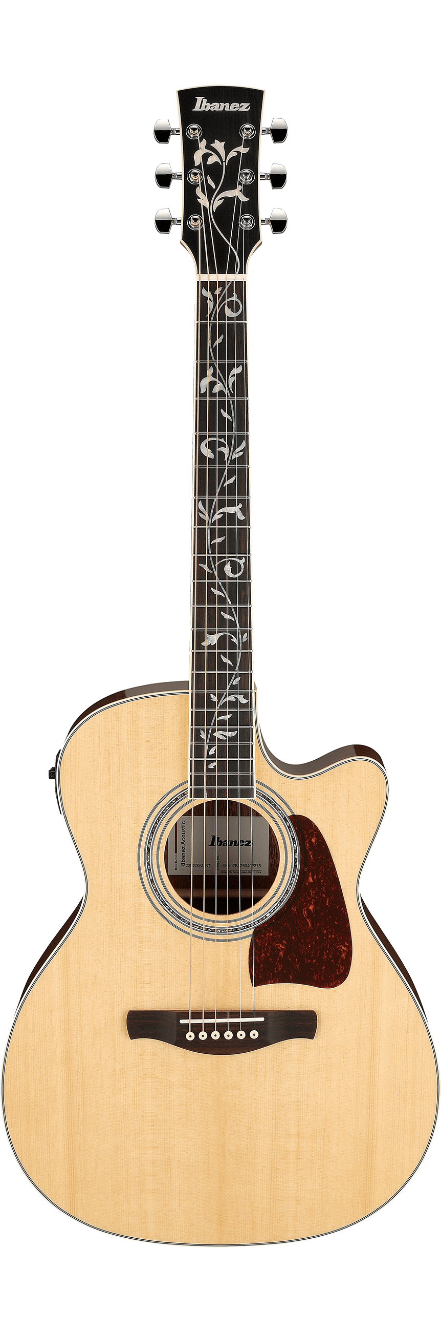 ibanez-ac390ce-nt_6980e364442e5.jpg