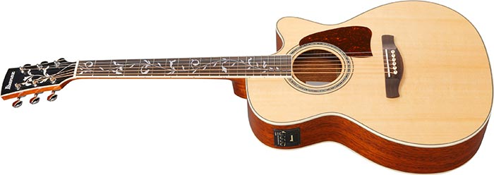 ibanez-ac390ce-nt_6980e369f0ddc.png