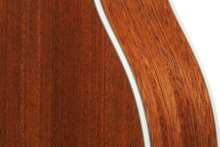 ibanez-ac390ce-nt_6980e3760beb6.jpg