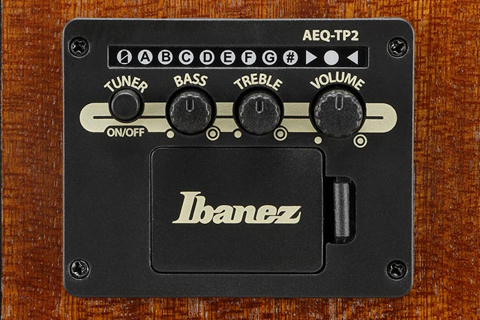 ibanez-ac390ce-nt_6980e37990b66.png