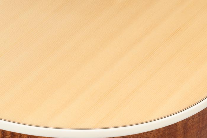 ibanez-ac390ce-nt_6980e37b62994.png