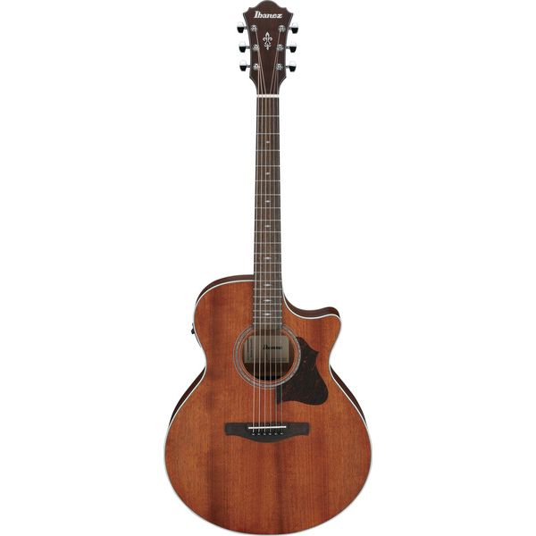 ibanez-ae140-opn_69e7452f54c43.jpg
