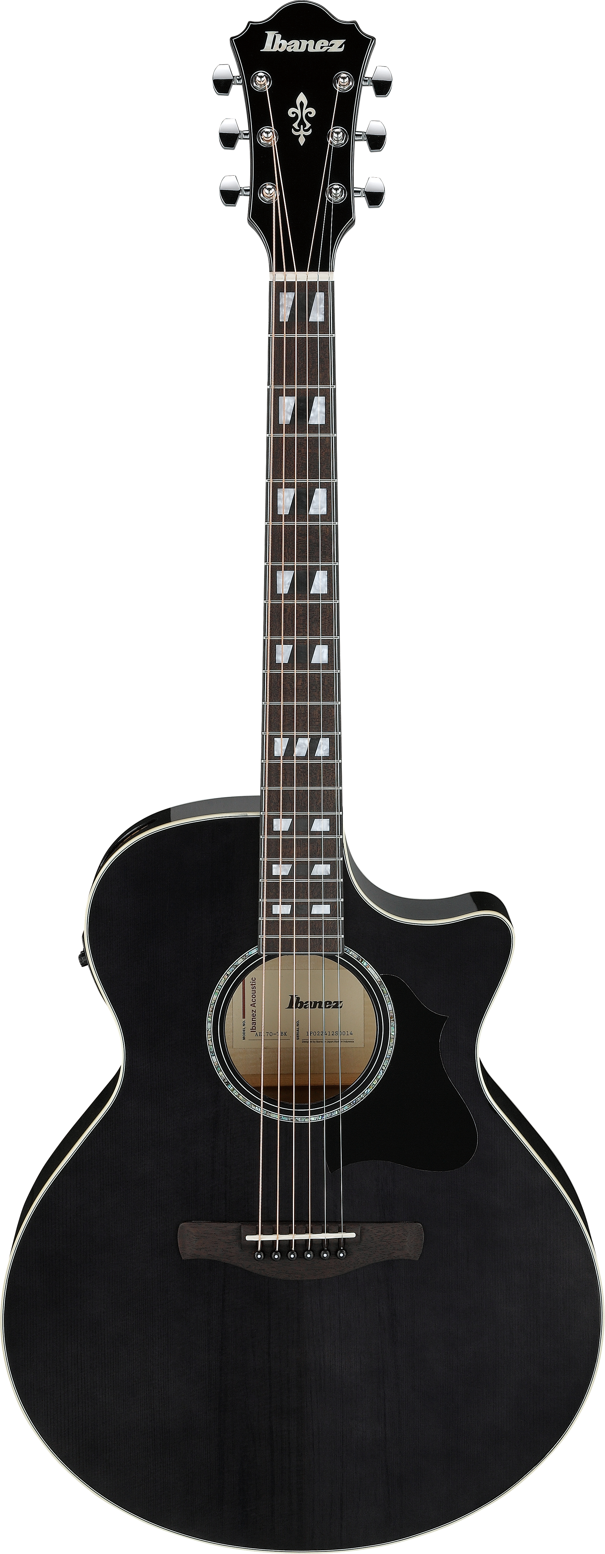 ibanez-ae170tbk-transparent-black_6978e50eea15f.jpg