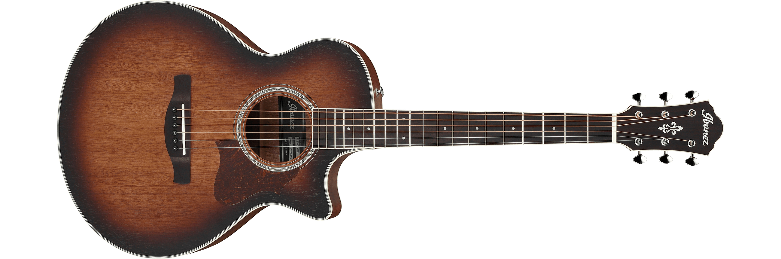 ibanez-ae240jr-mhs_6405af55b49dc.jpg