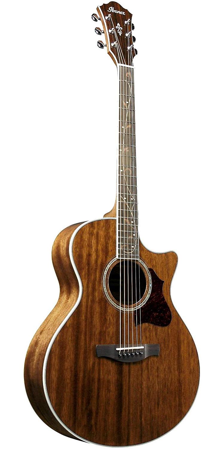 ibanez-ae245-nt_5caf5da5103de.jpg