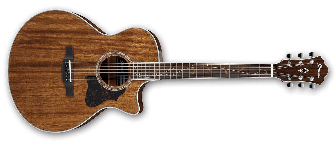 ibanez-ae245-nt_5caf5da5a710c.jpg