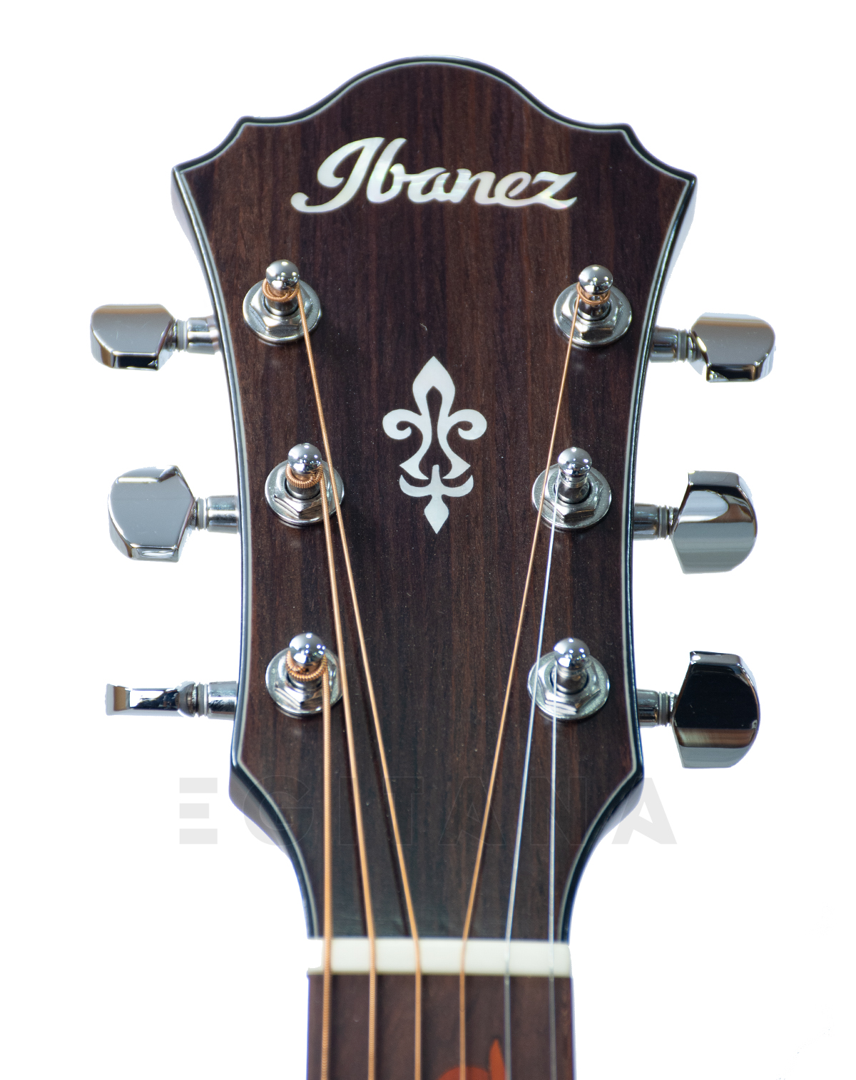 ibanez-ae295-lgs_5f05aa752ae58.jpg