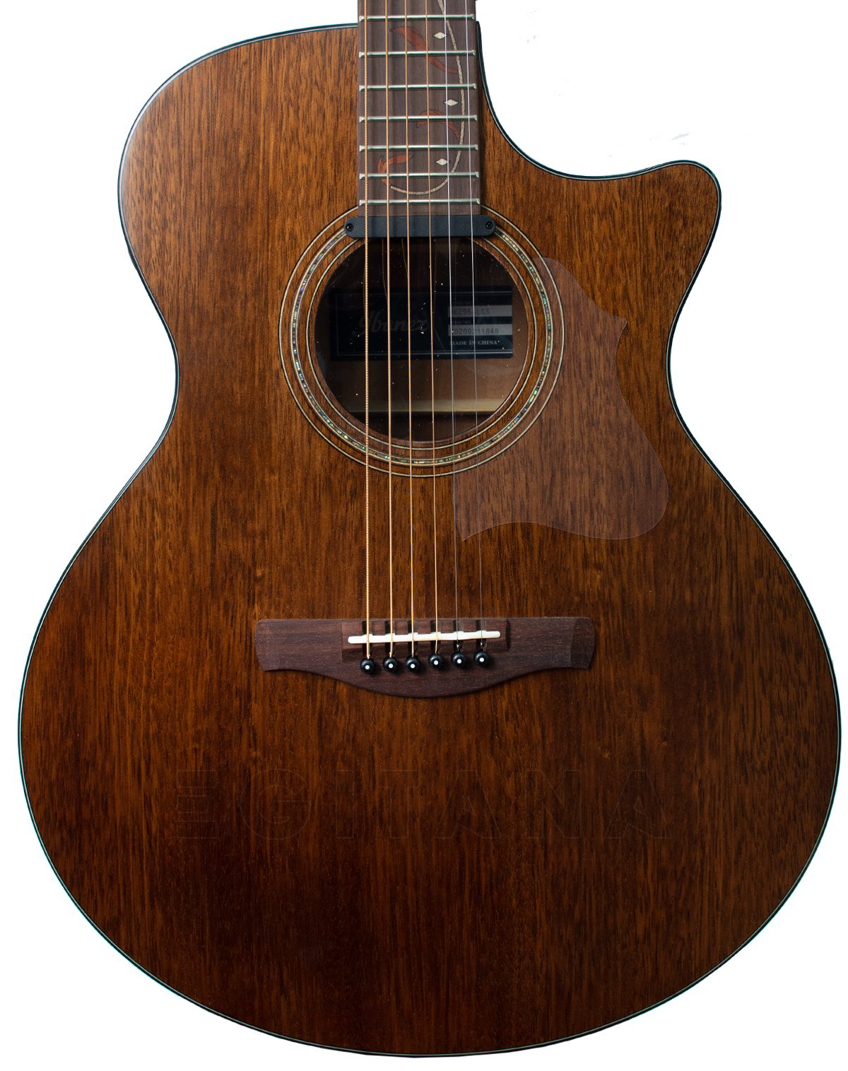 ibanez-ae295-lgs_5f05aa761ff27.jpg