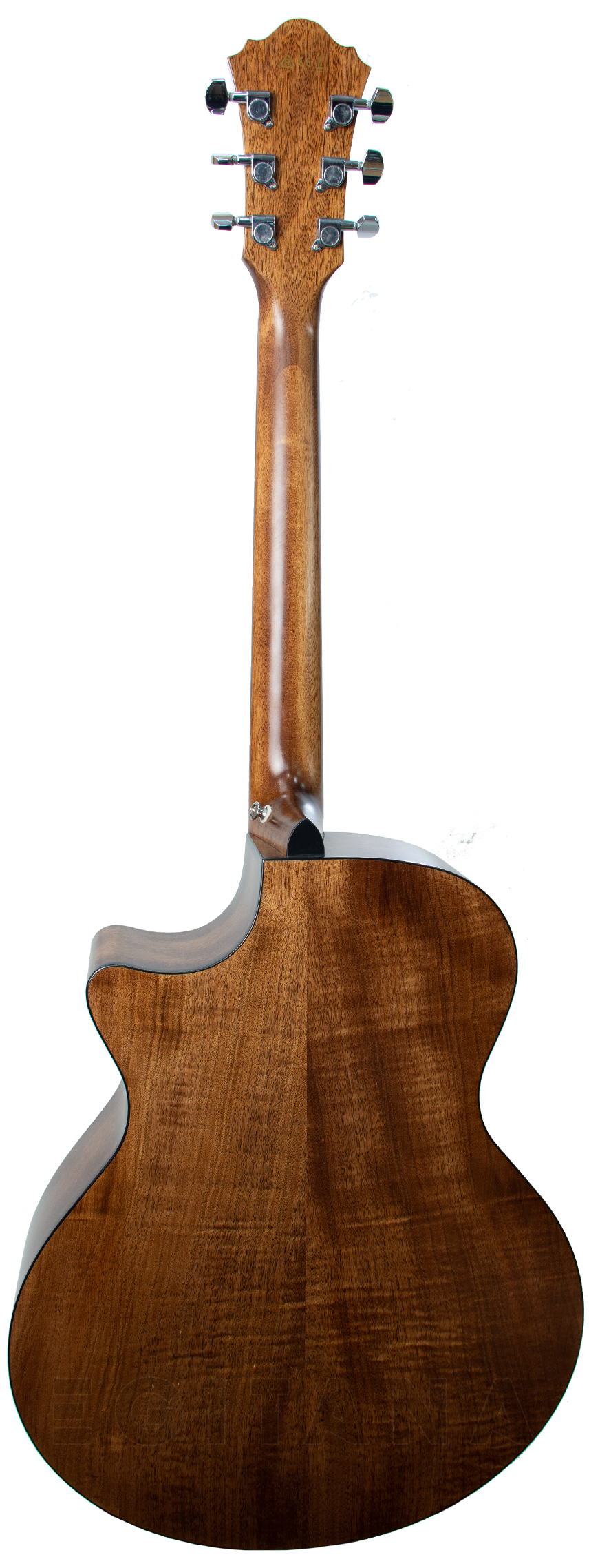 ibanez-ae295-lgs_5f05aa7728d07.jpg