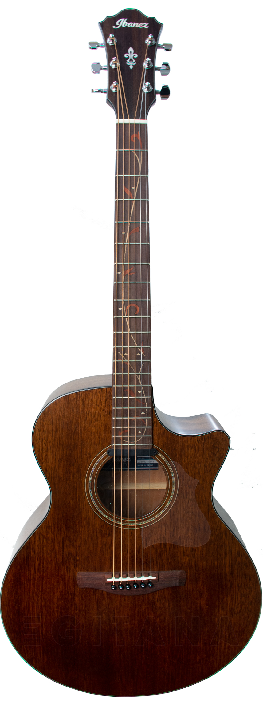 ibanez-ae295-lgs_5f05aa782754a.jpg