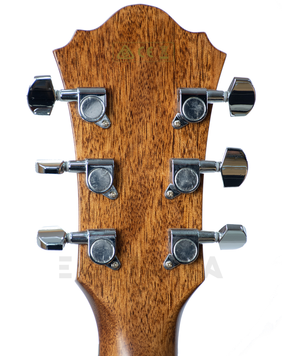 ibanez-ae295-lgs_5f05aa7a3bb87.jpg