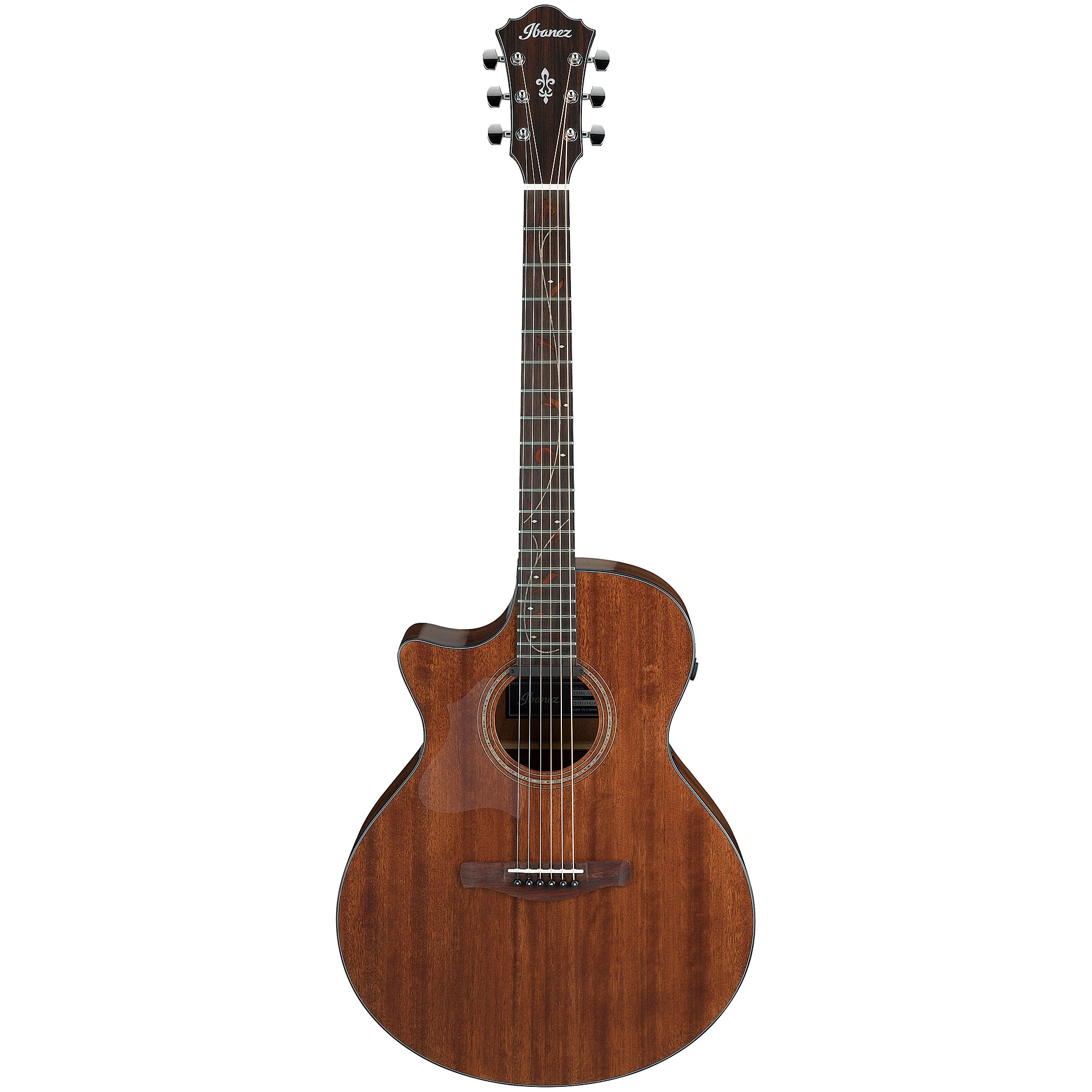 ibanez-ae295l-lgs_63b3fdf47630f.jpg