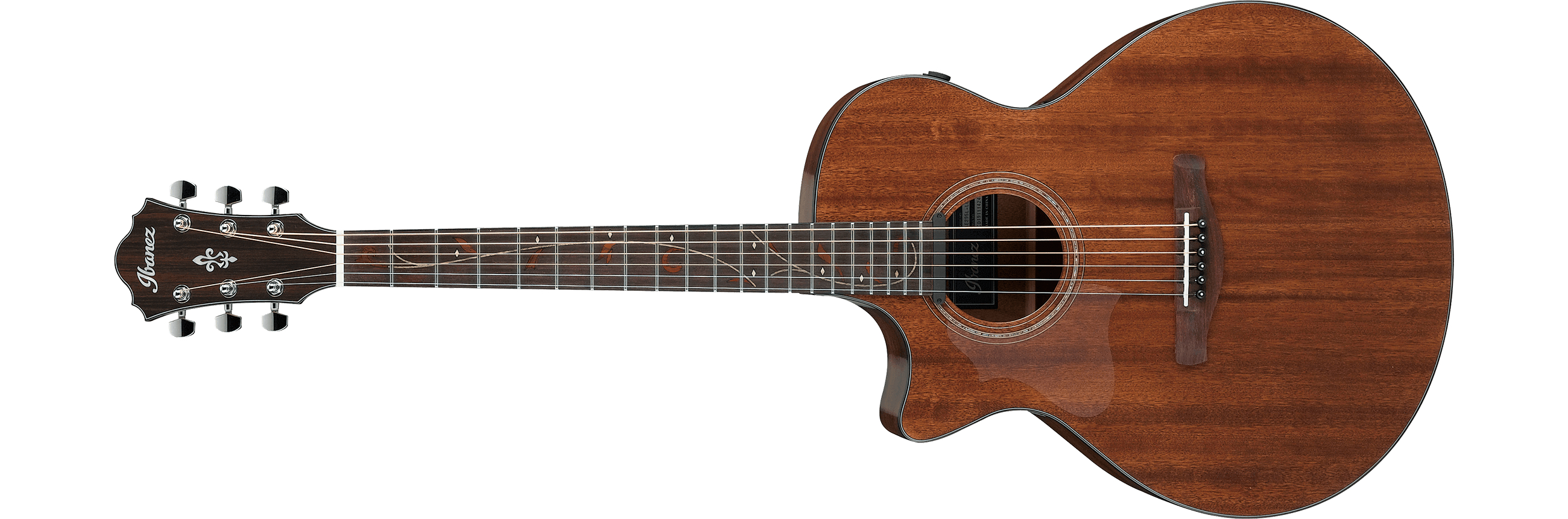 ibanez-ae295l-lgs_63b3fdf553bd1.jpg