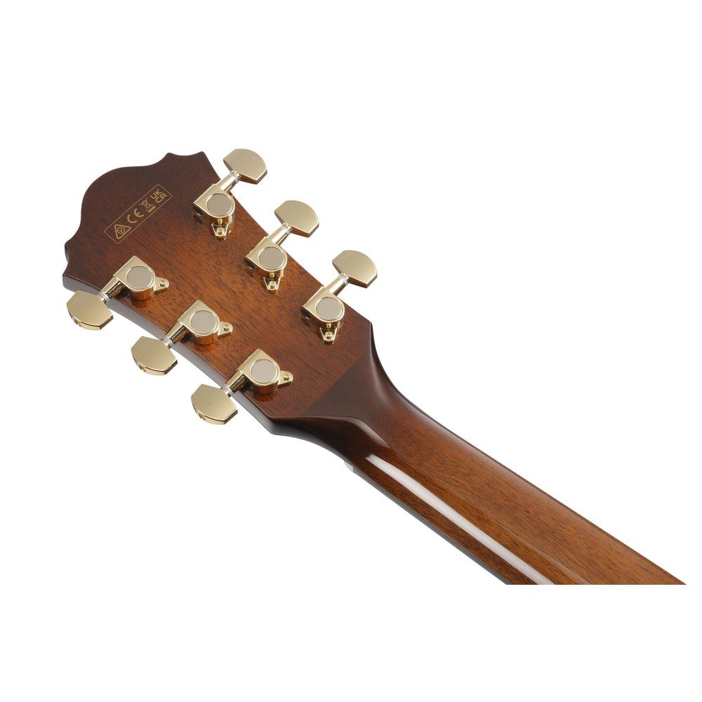 ibanez-ae340fmh-mhs_65e5ff98ec1ca.jpg