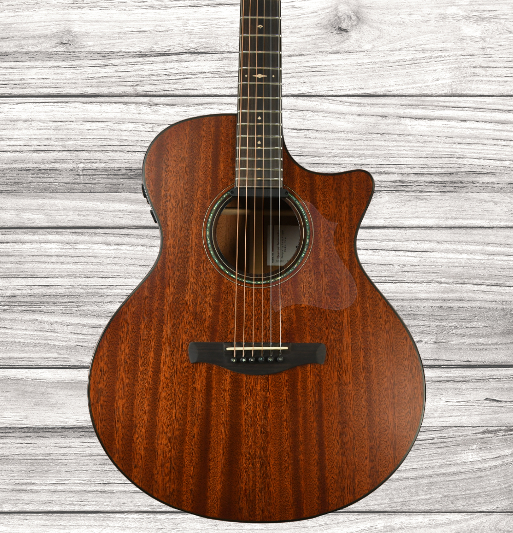 ibanez-ae440lgs_64a6958a2eea4.jpg