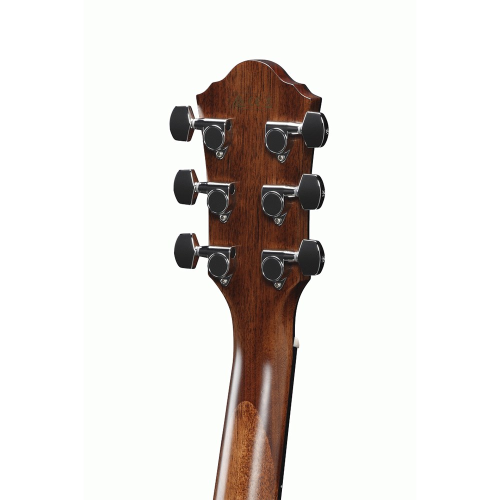 ibanez-aeg200-lgs_6405afdb574f2.jpg