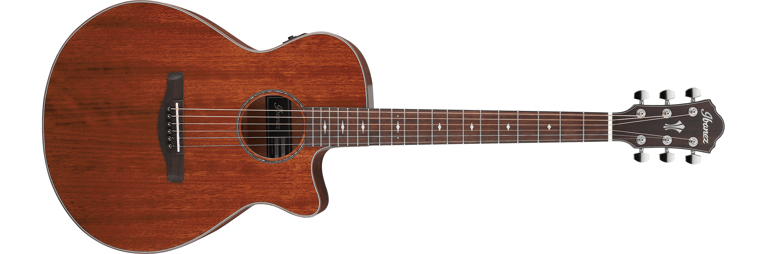 ibanez-aeg220-lgs_6405b0a999d69.jpg