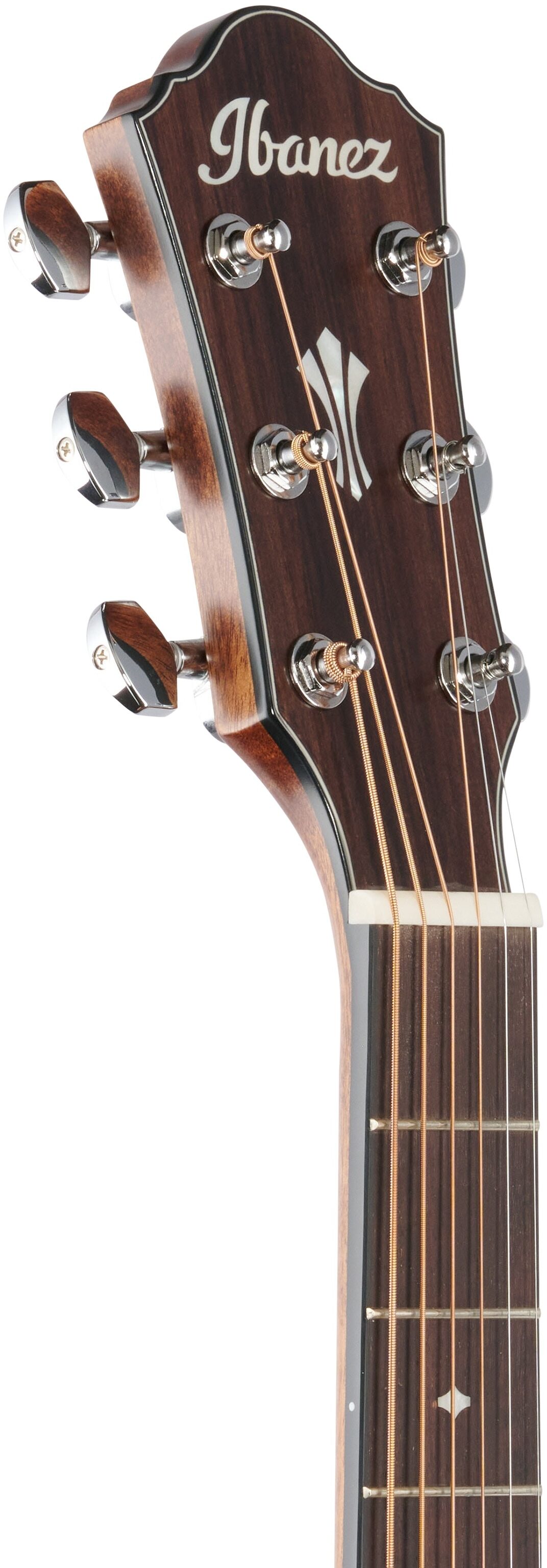 ibanez-aeg220-lgs_6405b0aae90ae.jpg