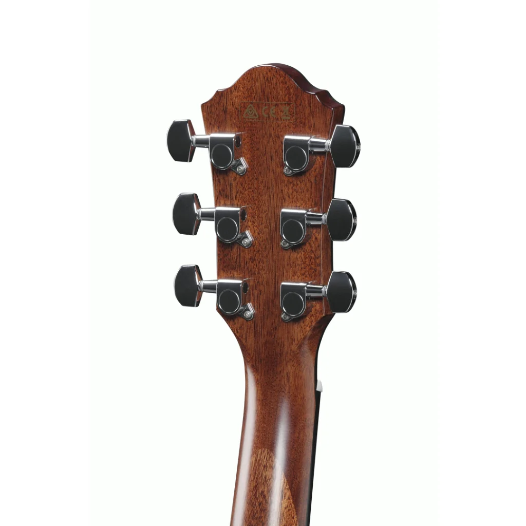 ibanez-aeg220-lgs_6405b0abbde19.jpg