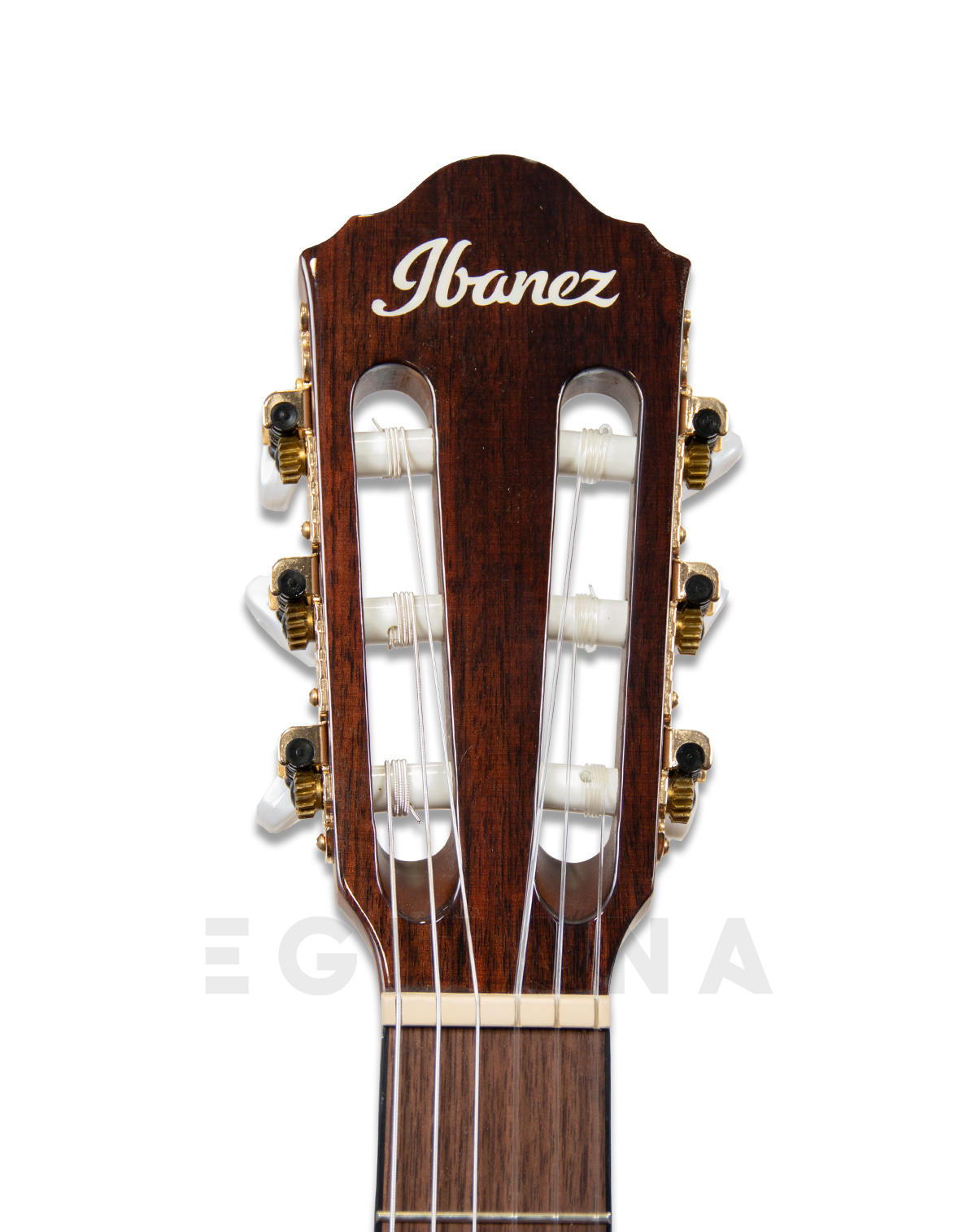 ibanez-aeg50n-nt-nylon_6010364a25f6e.jpg