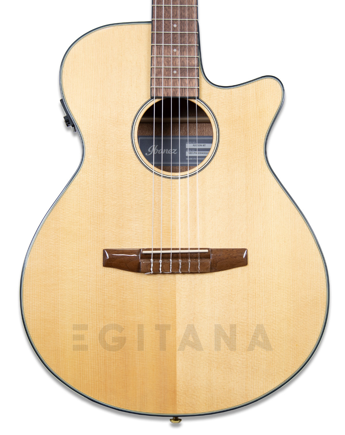 ibanez-aeg50n-nt-nylon_6010364ae46a5.jpg
