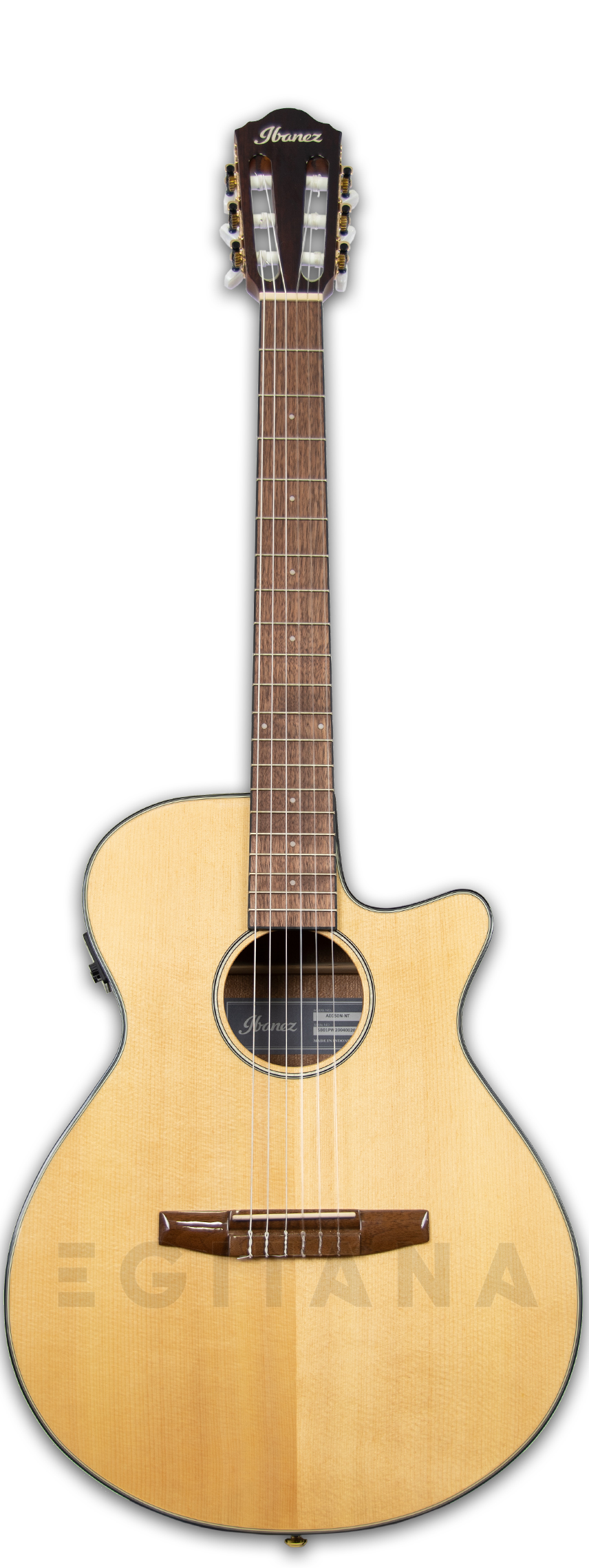 ibanez-aeg50n-nt-nylon_6010364bc0bf1.jpg