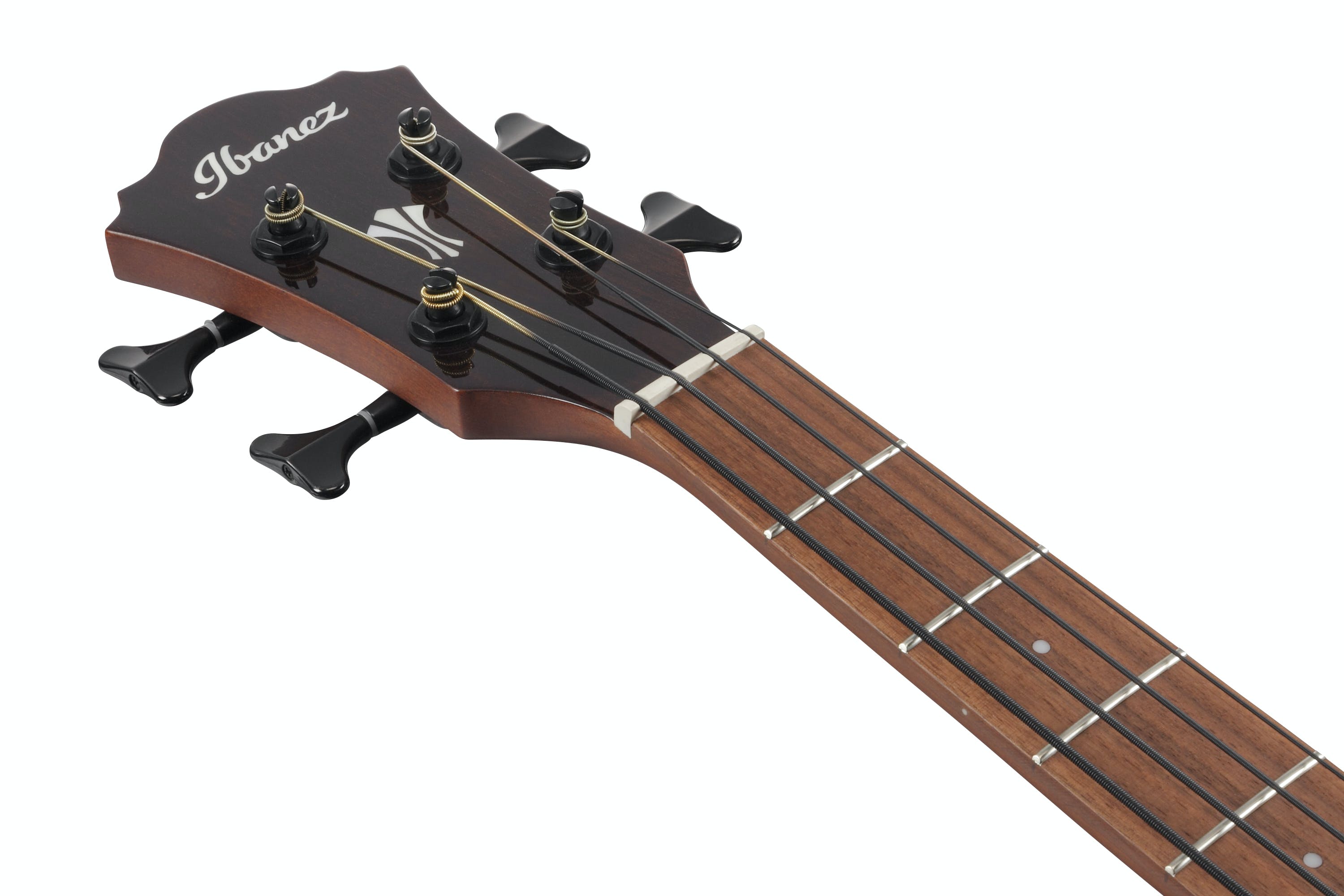 ibanez-aegb24e-mhs_621f94d0c1077.jpg