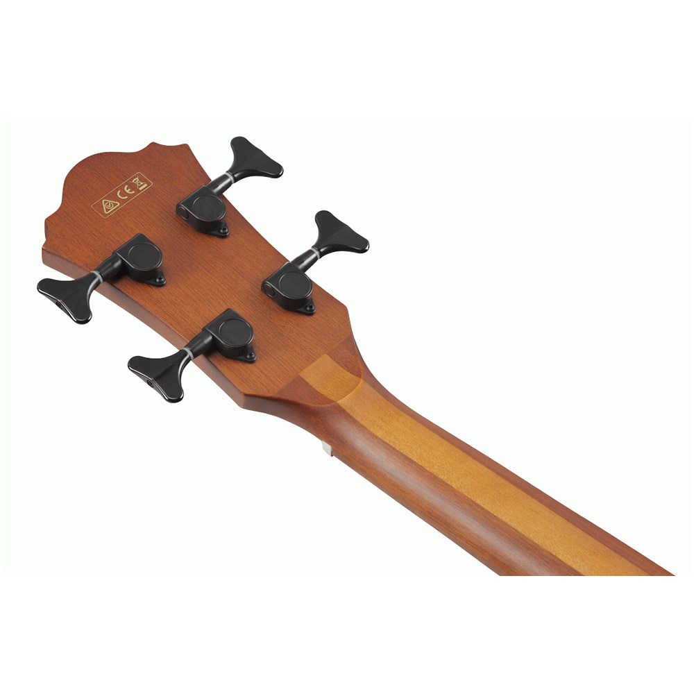 ibanez-aegb24e-mhs_621f94d332432.jpg