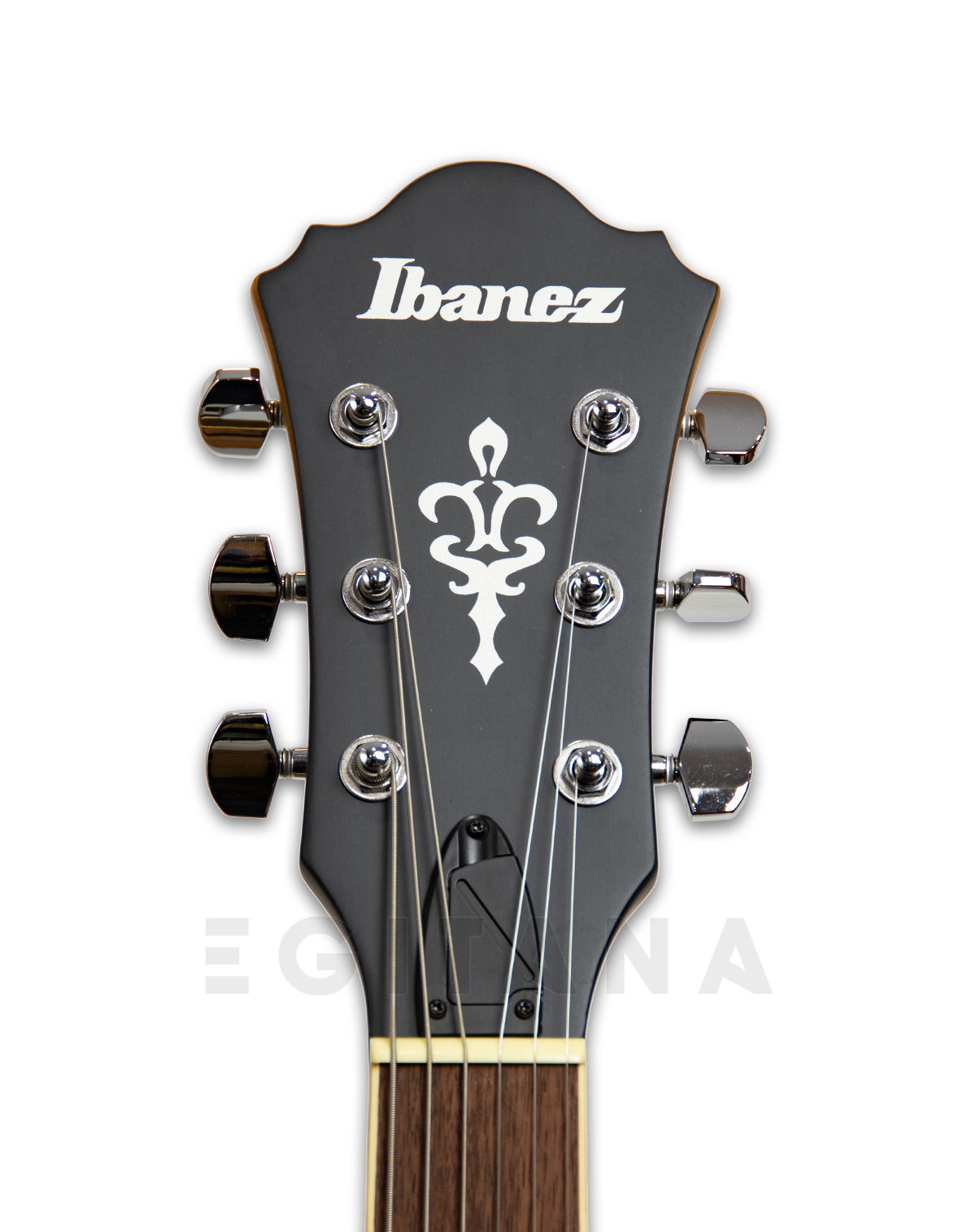 ibanez-af55-tf_5ffc6ec0cc9bd.jpg