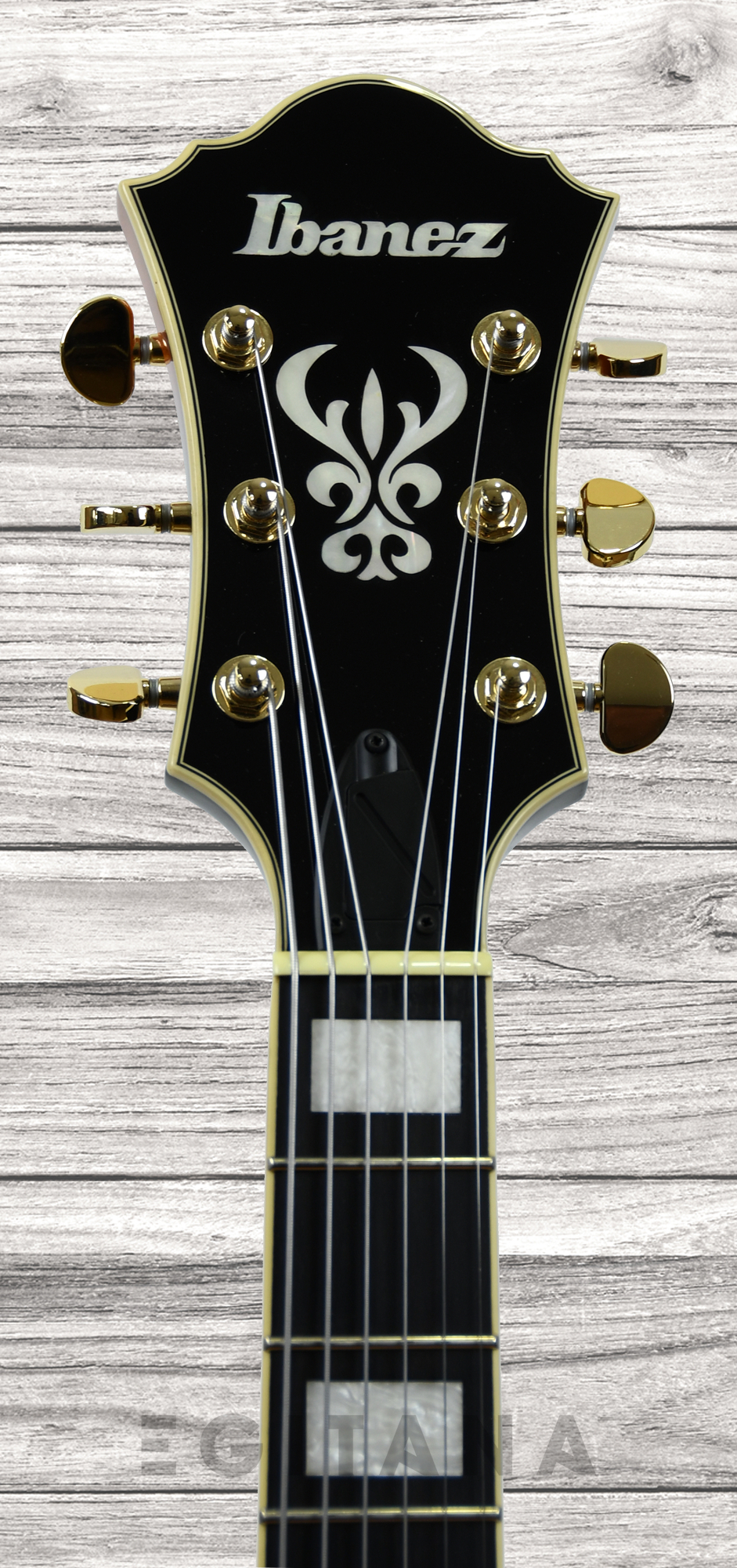 ibanez-af95-bs_61162e76a68a9.jpg