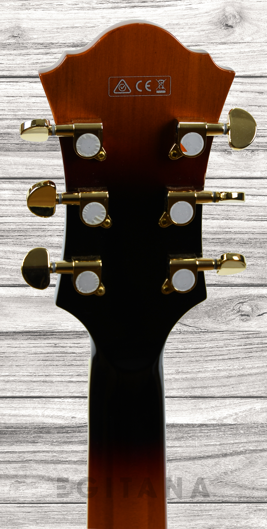 ibanez-af95-bs_61162e77e3d14.jpg