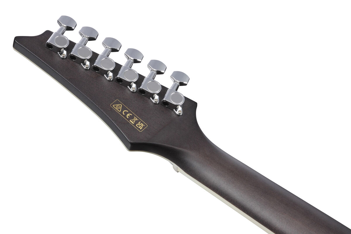 ibanez-alt30fm-edb_649aac457adbe.jpg