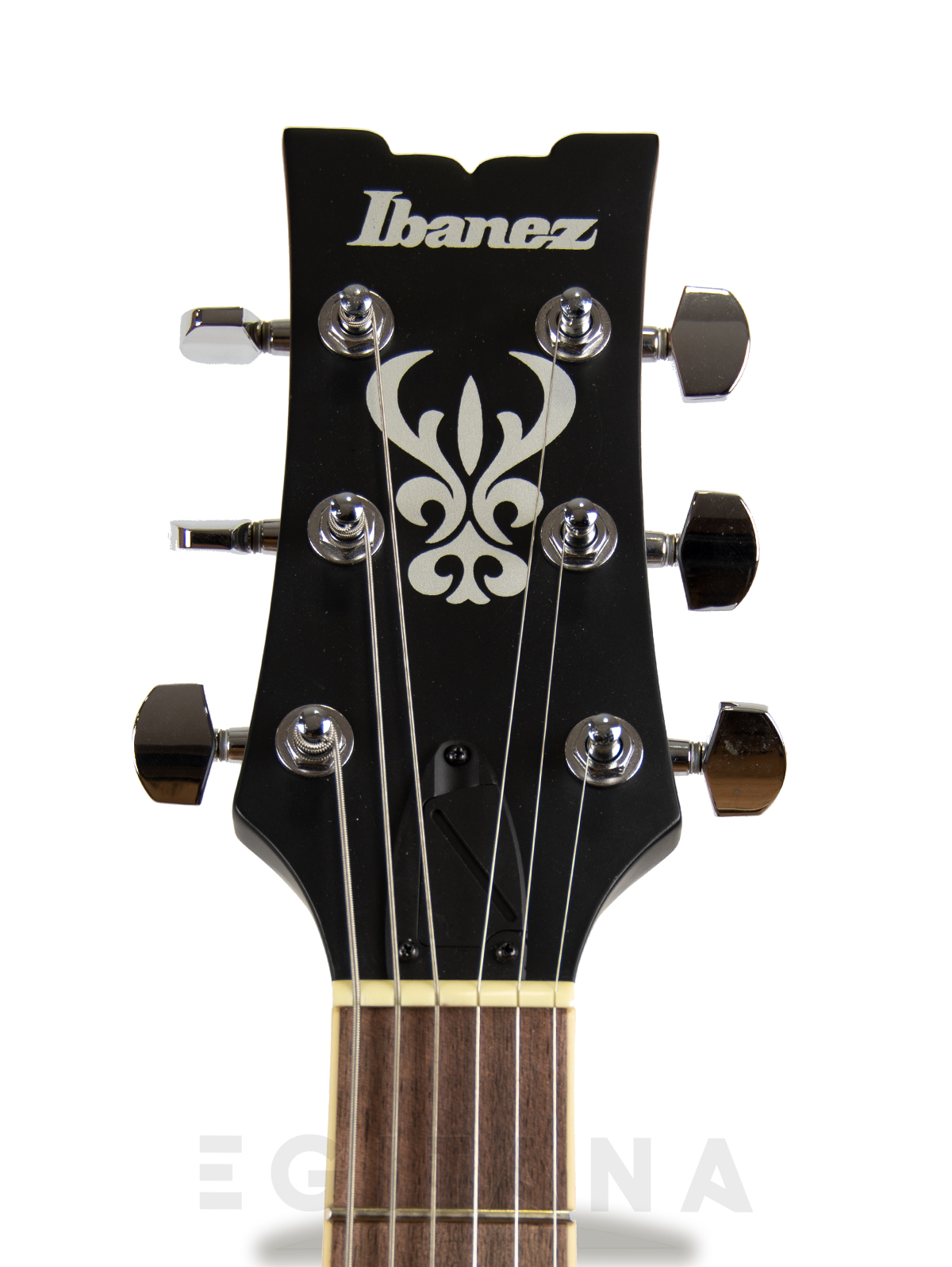 ibanez-artcore-am53-tobacco-flat_609bf68a8e703.jpg