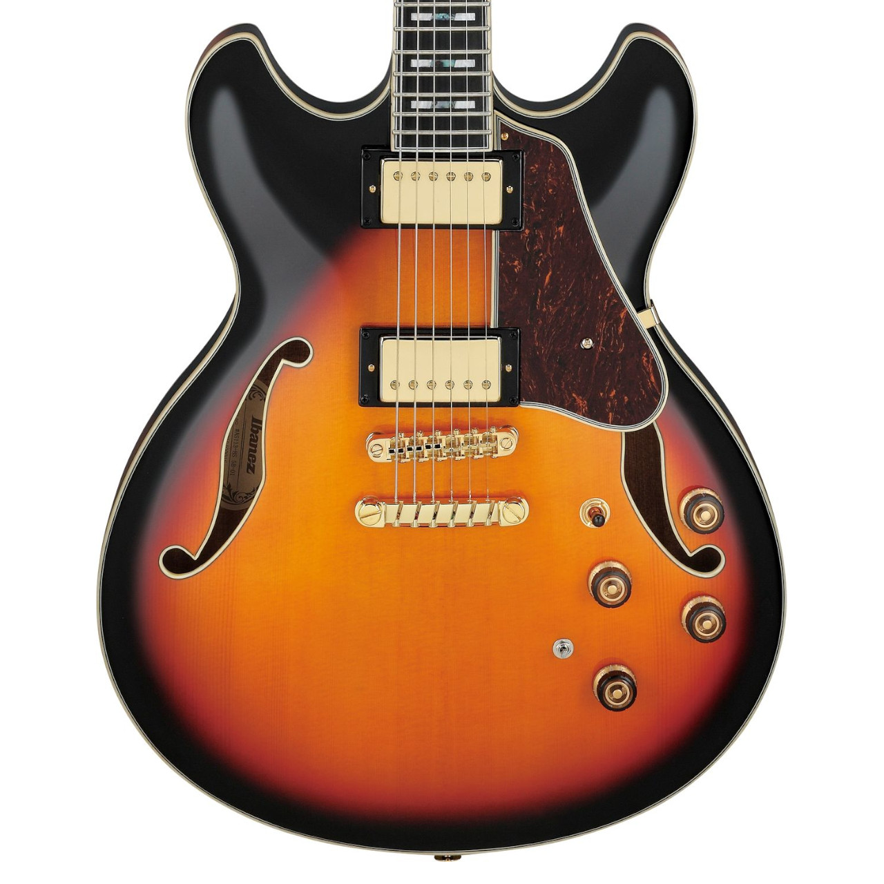 ibanez-as113-bs_621f9572af339.jpg