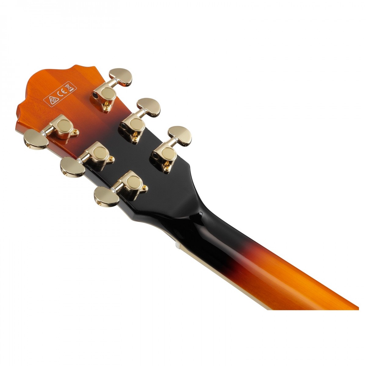 ibanez-as113-bs_621f9574c8e6f.jpg