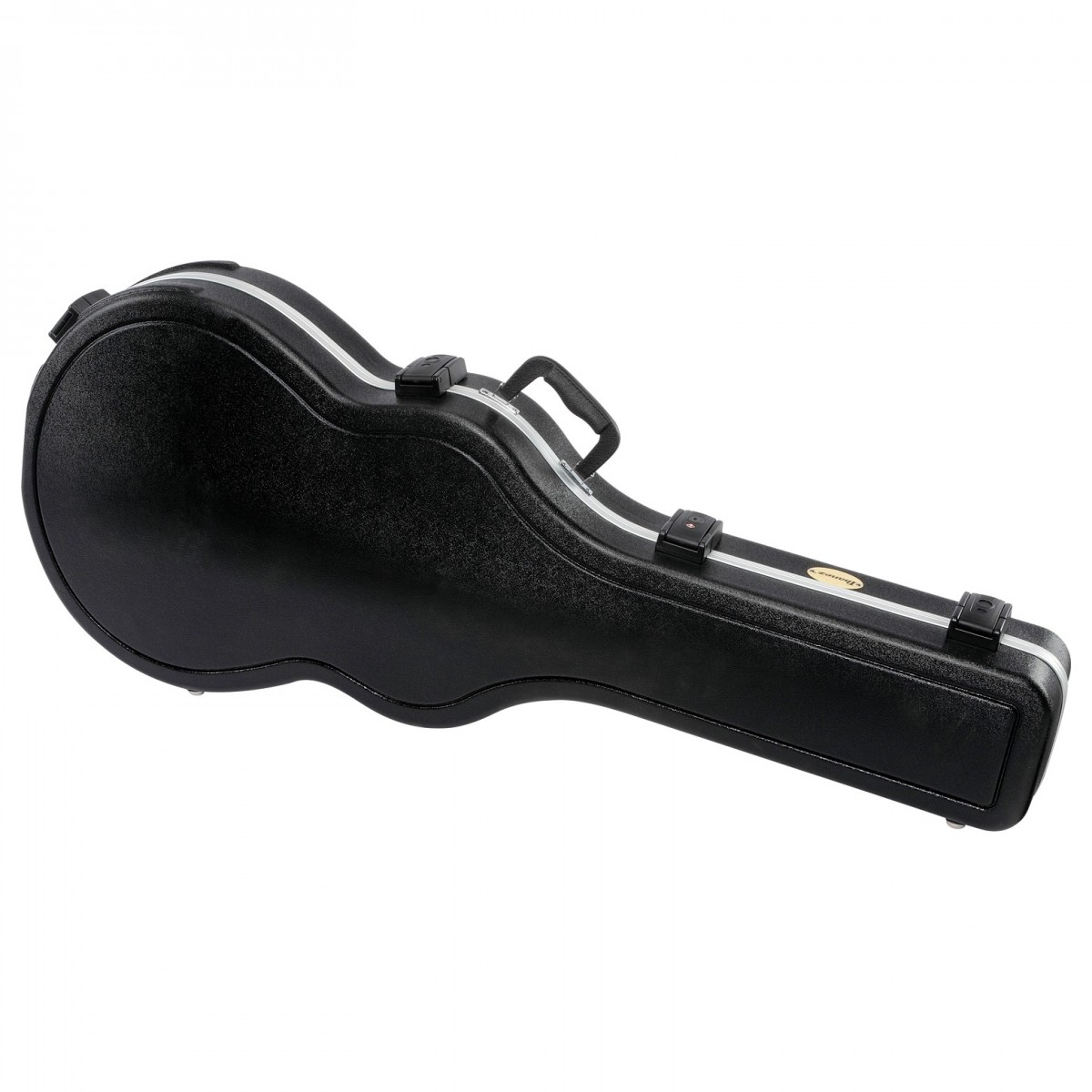 ibanez-as113-bs_621f957591641.jpg