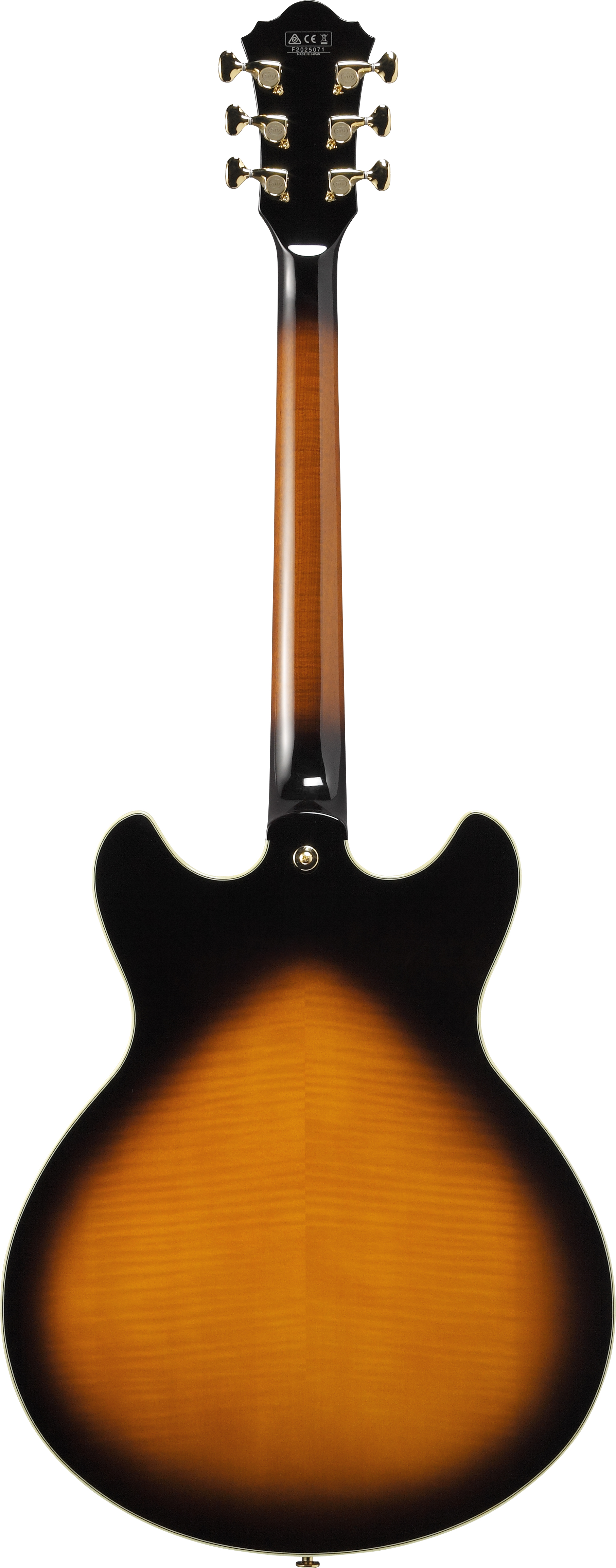 ibanez-as2000-bs_675719fd014fa.jpg