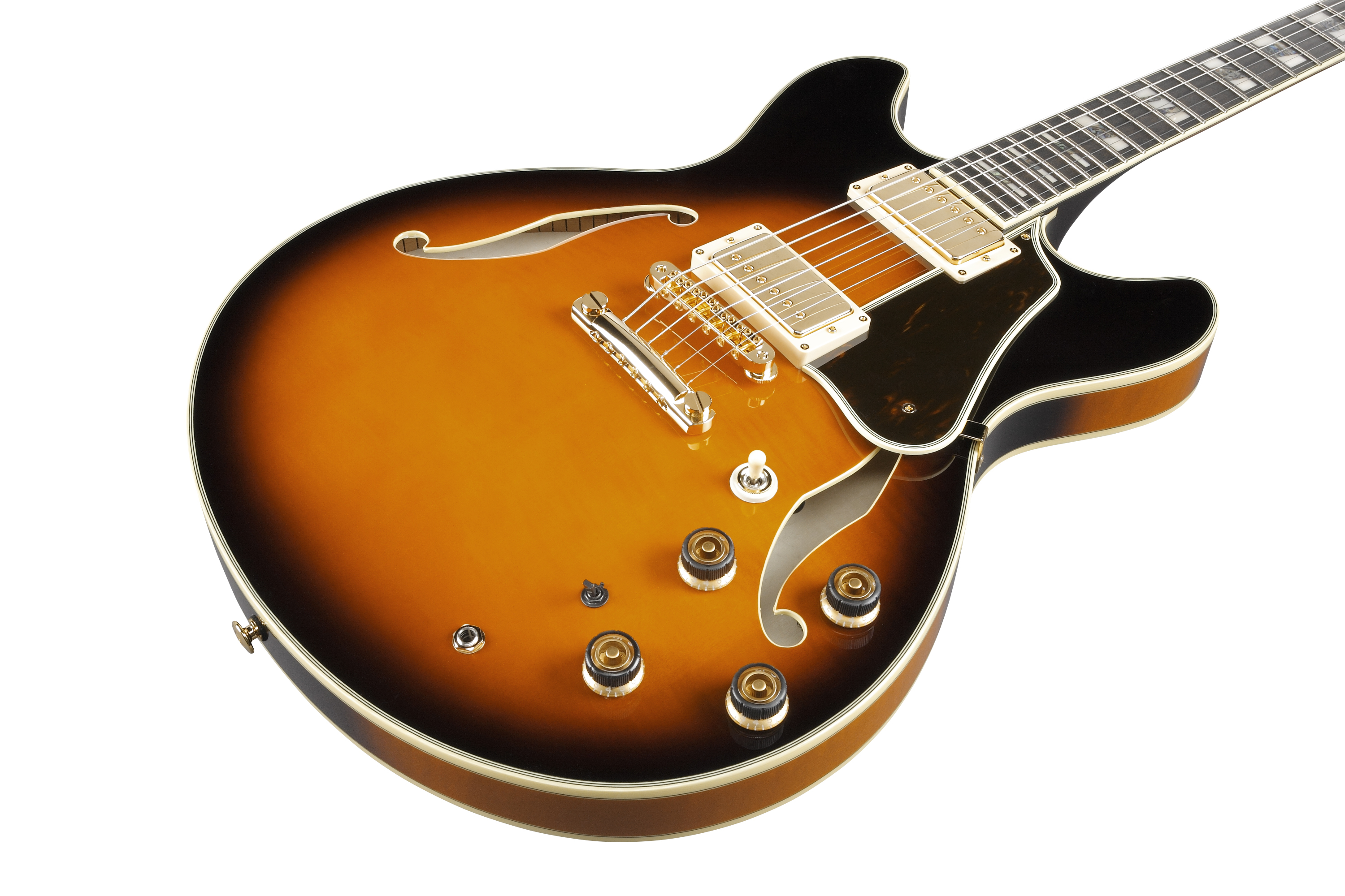 ibanez-as2000-bs_67571a0d72f75.jpg