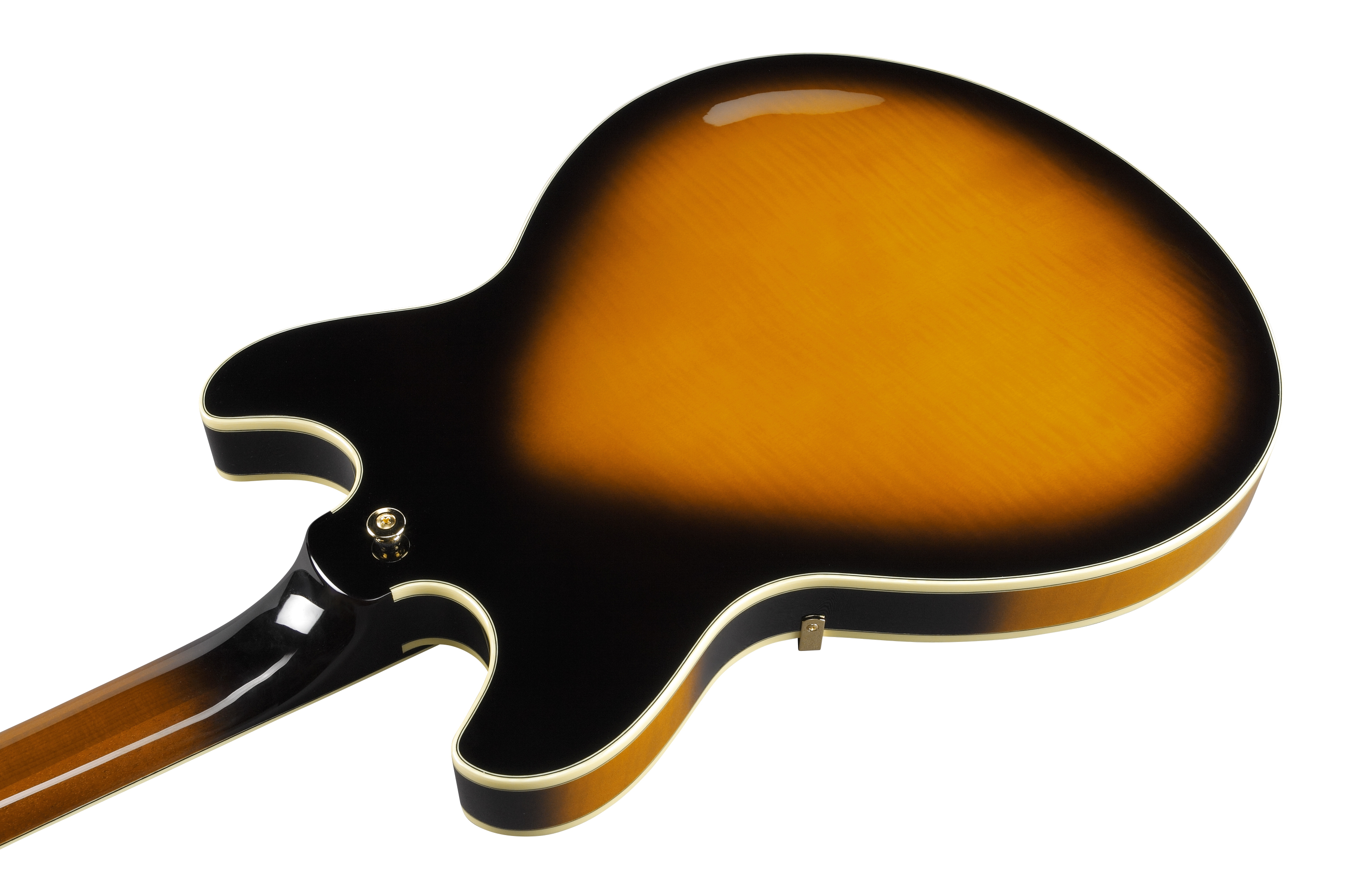 ibanez-as2000-bs_67571a10d2cfe.jpg