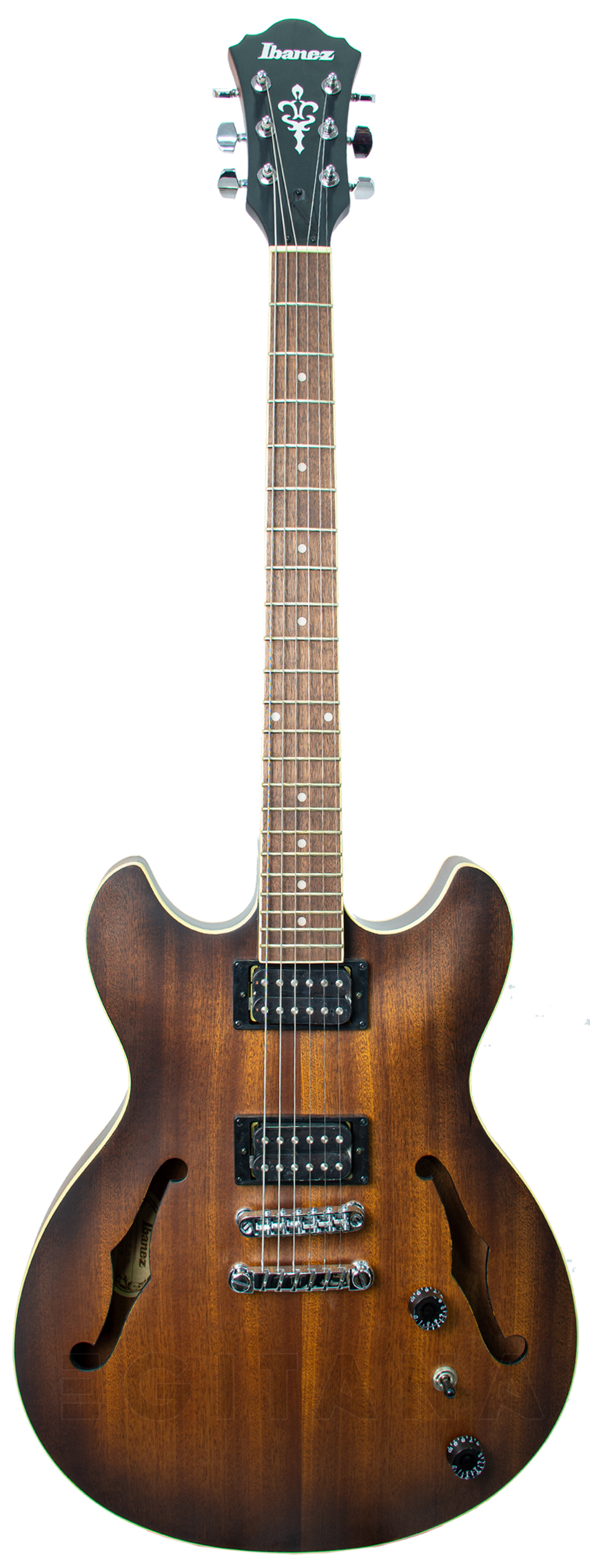 ibanez-as53-tf_5efe0157afead.jpg