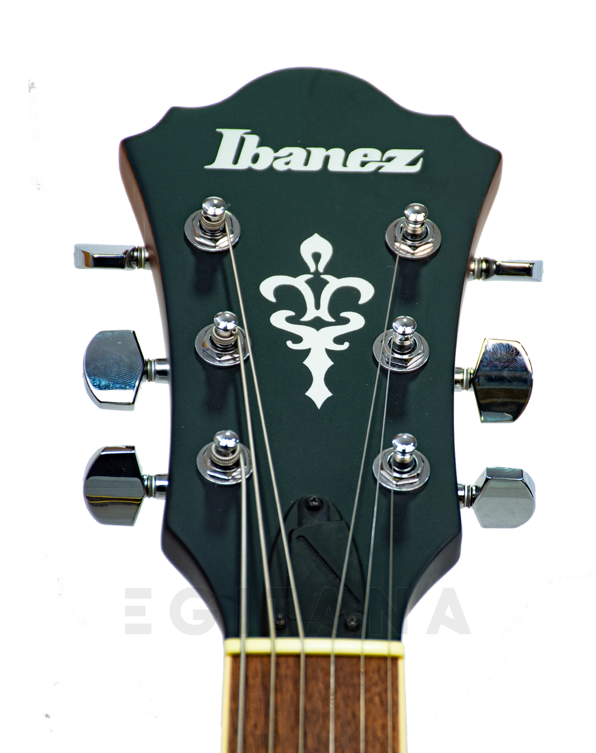 ibanez-as53-tf_5efe0158b0a07.jpg
