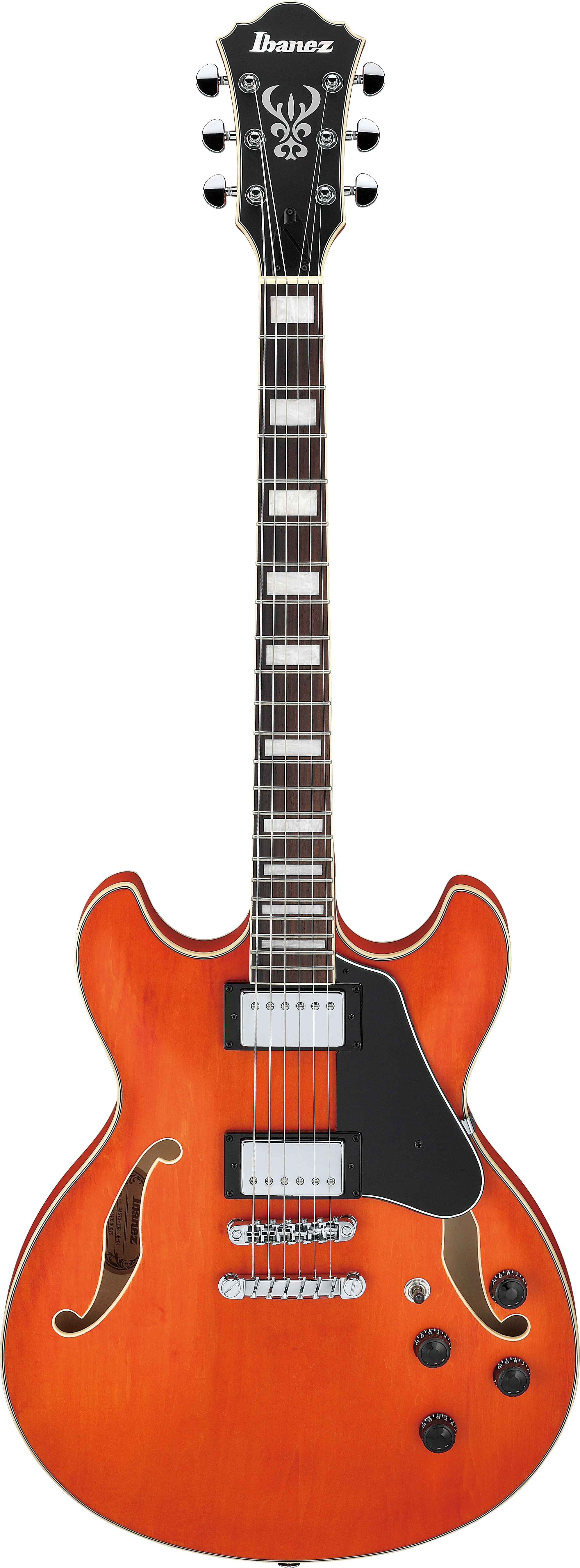 ibanez-as73-ttf_67d8518fe045d.jpg