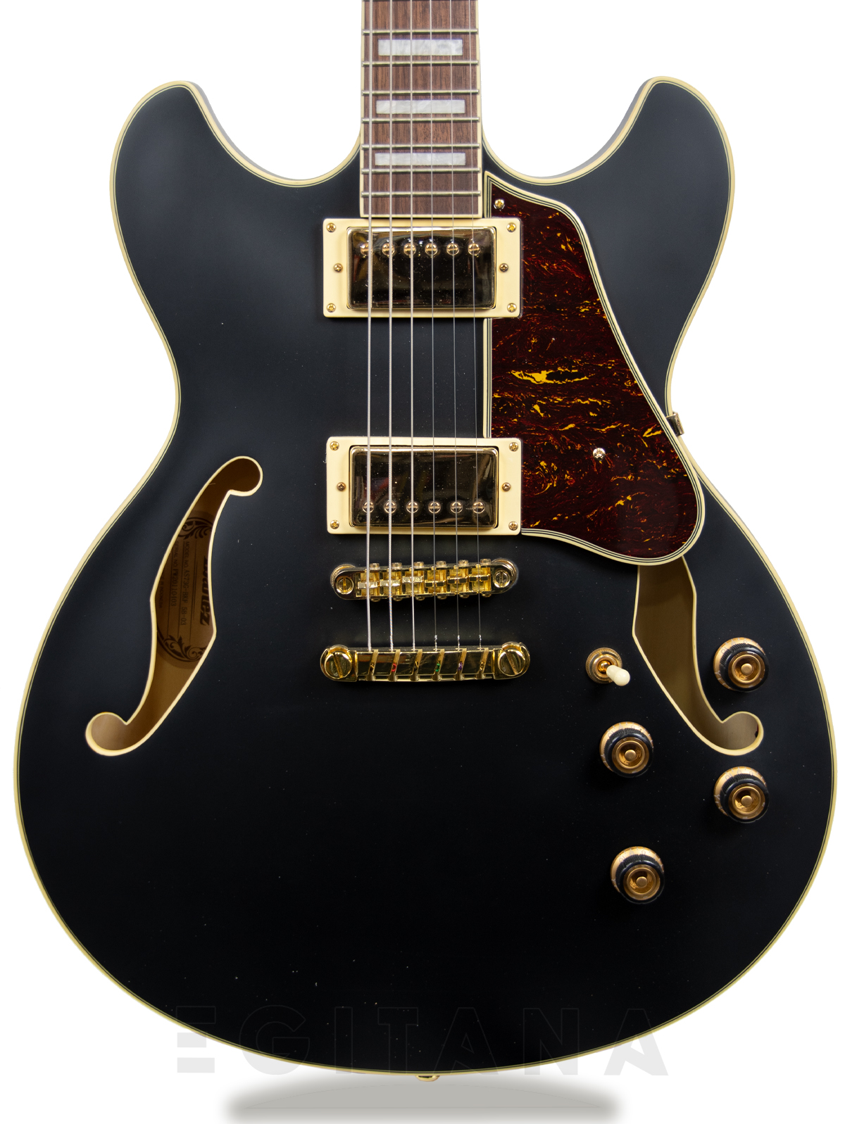 ibanez-as73gbkf_6058b0492da86.jpg