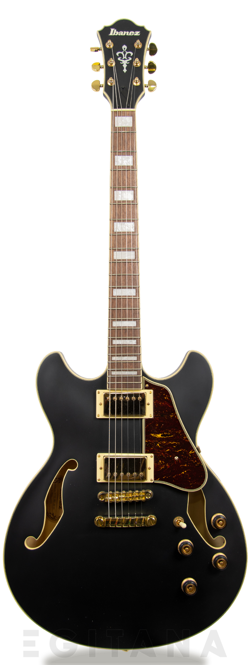 ibanez-as73gbkf_6058b04bd0099.jpg