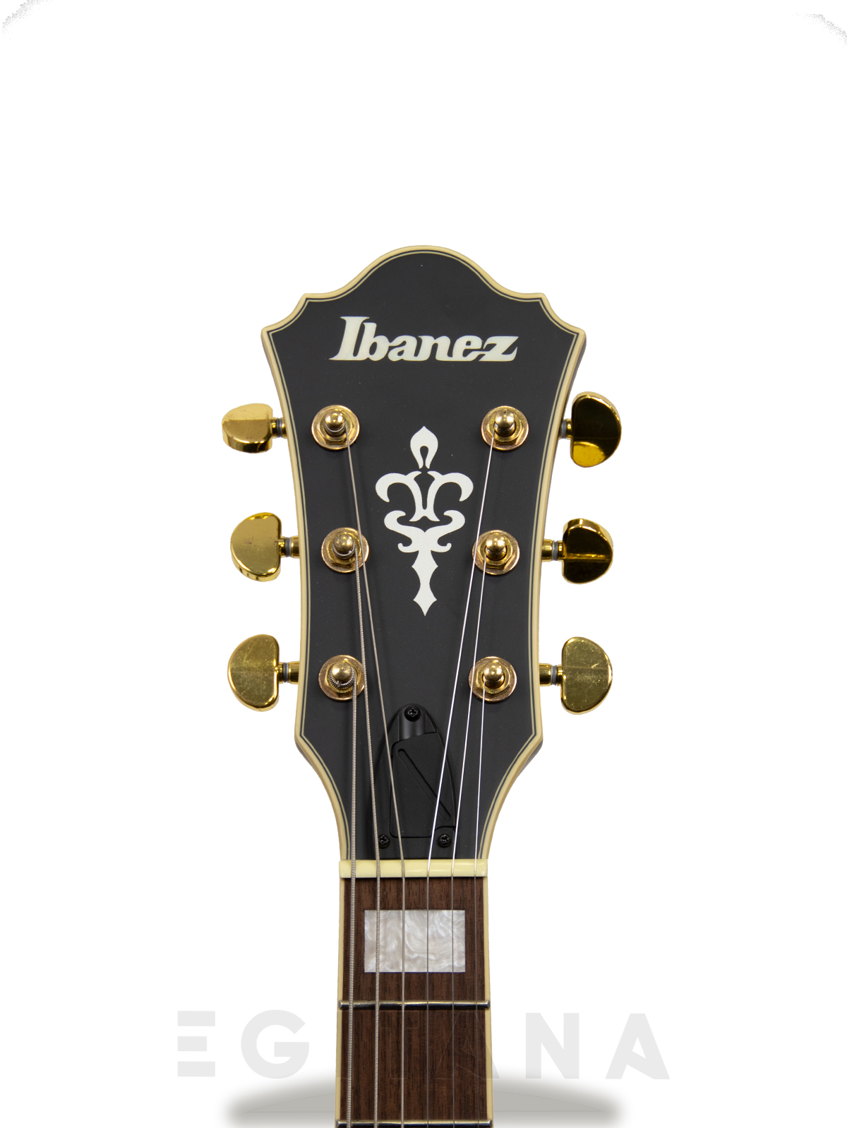 ibanez-as73gbkf_6058b04cad95e.jpg